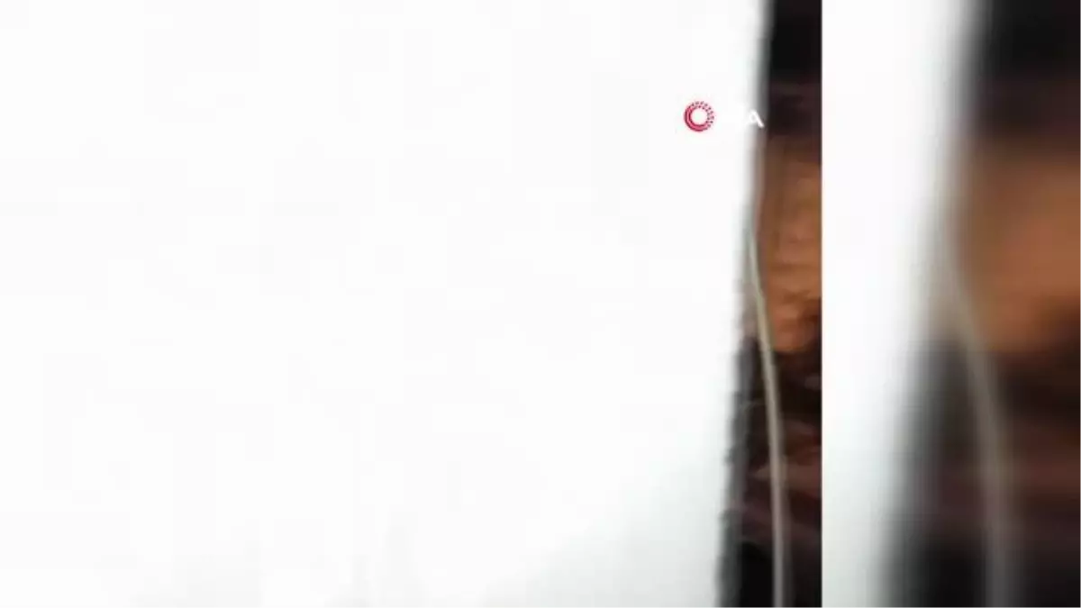 Fatih\'te iki aile arasında çıkan kavgada bir kişi yaralandı