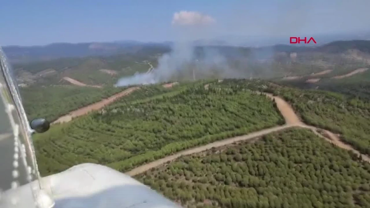 İzmir Torbalı\'da Orman Yangını Çıktı
