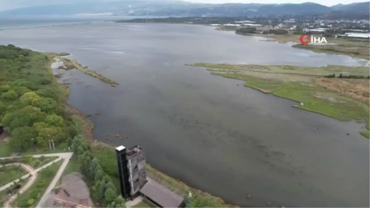 'Kuş Oteli'nde bu yıl rekor popülasyon bekleniyor Hersek Lagünü'nde flamingolar görsel şölen sunmaya başladı