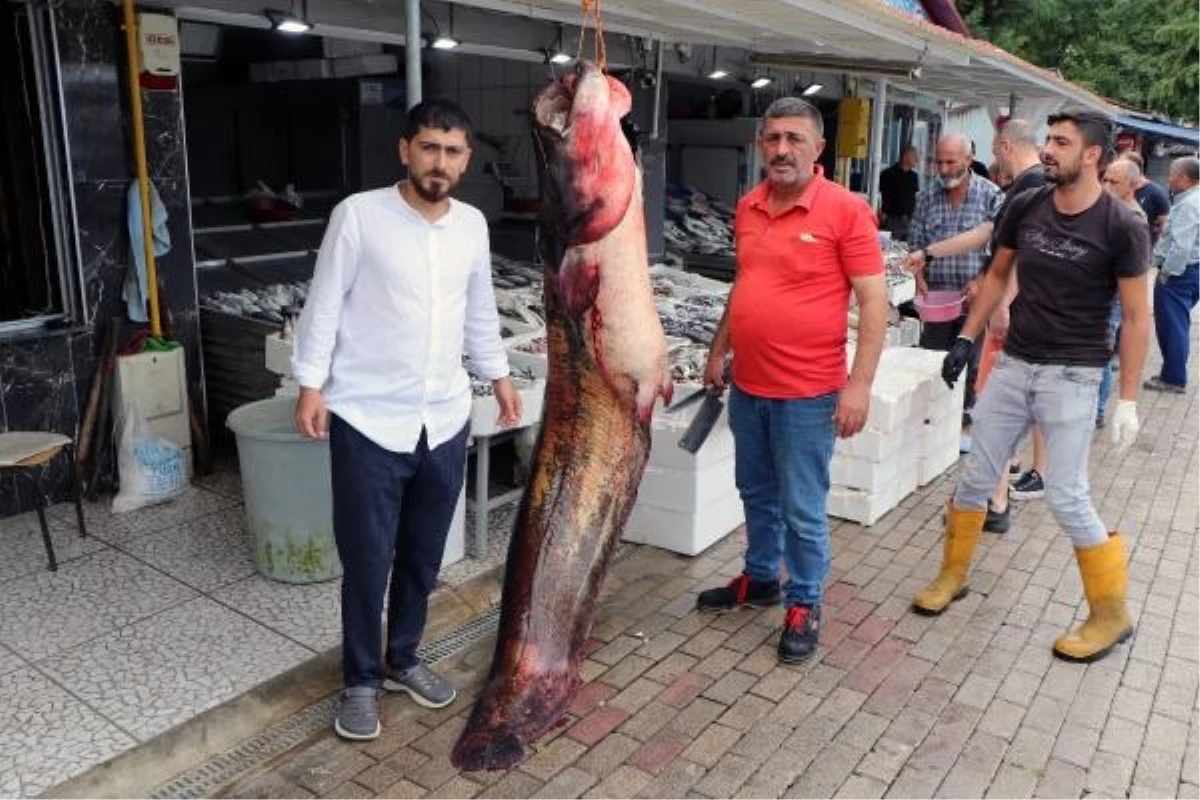 Samsun\'da 94 kilogramlık yayın balığı satışa çıkarıldı