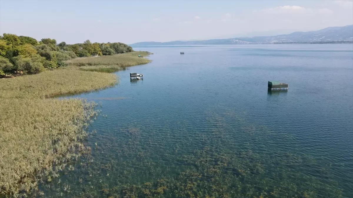 Sapanca Gölü\'nde Hayalet Ağlar Temizlenecek