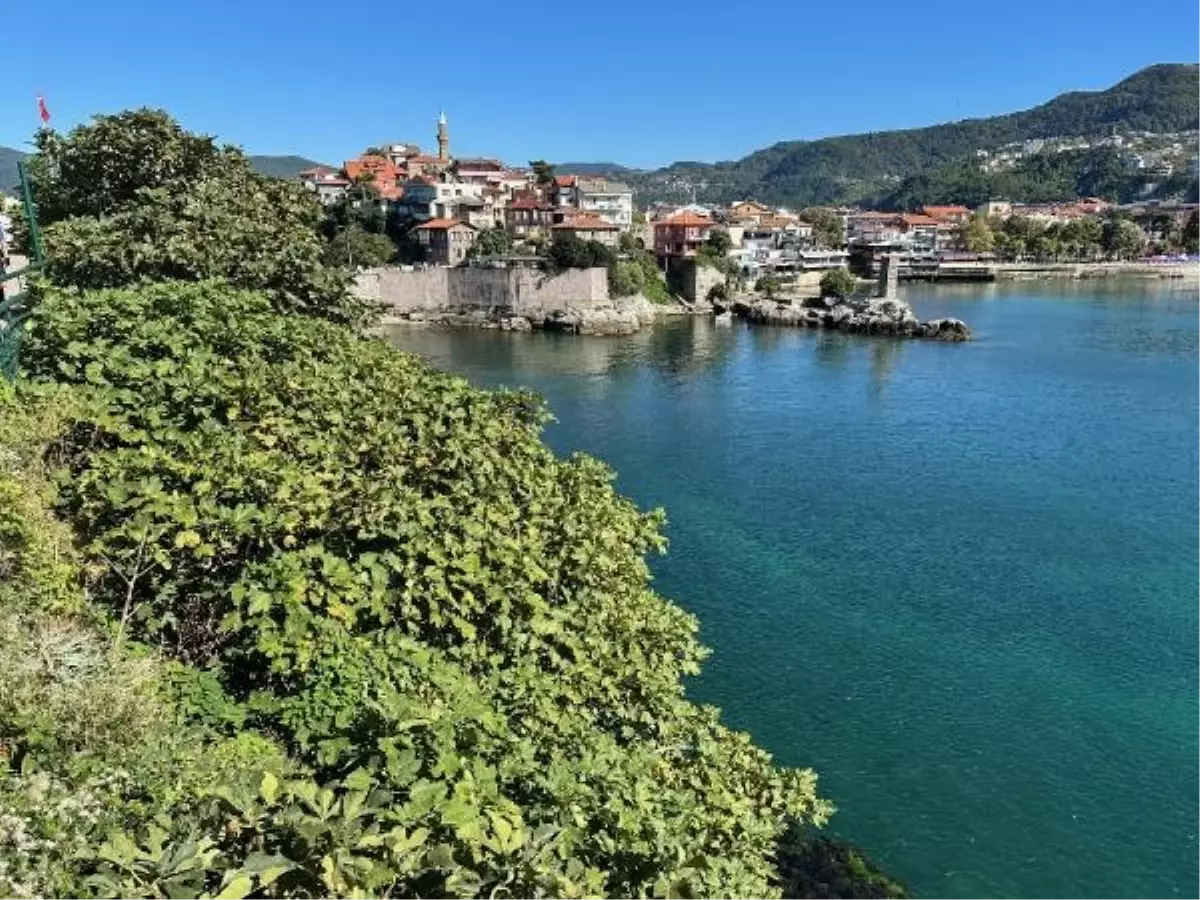 Amasra Kalesi'nde Bitki Temizliği Çalışması Başlatıldı