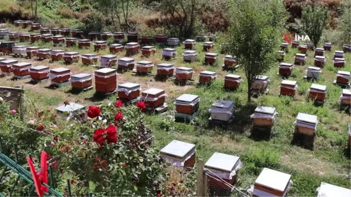 Arılara yazmayı öğreten adam ilk mezunlarını verdi