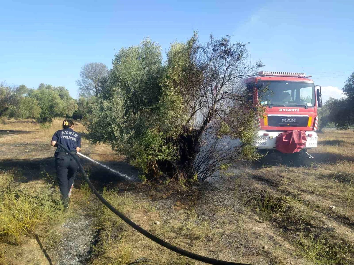 Aydın Büyükşehir Belediyesi İtfaiyesi Yangına Hızlı Müdahale Etti