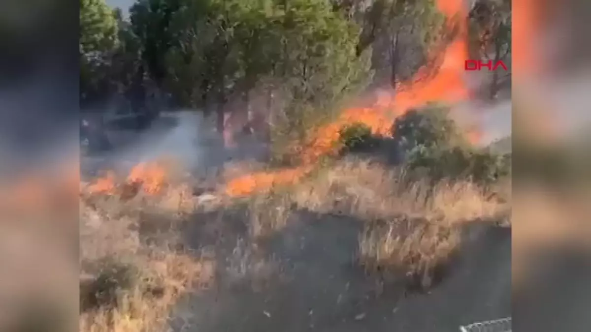 Çanakkale\'de 16 saat süren yangın kontrol altına alındı