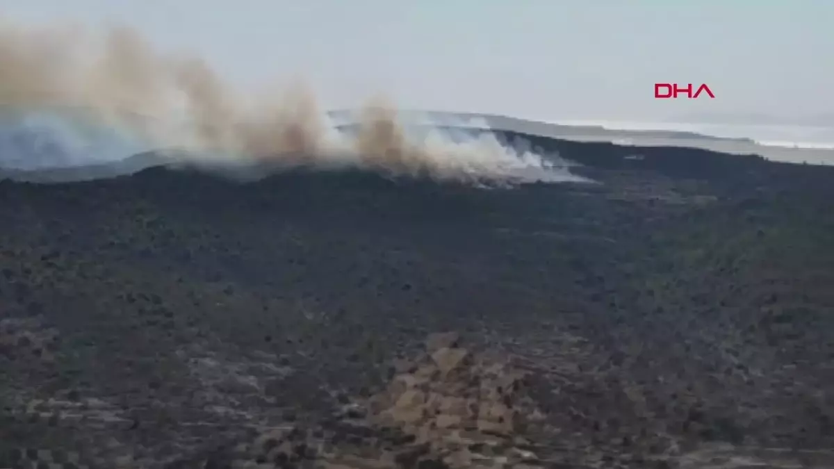 Çeşme\'deki Çöplük Yangını Ormana Sıçradı