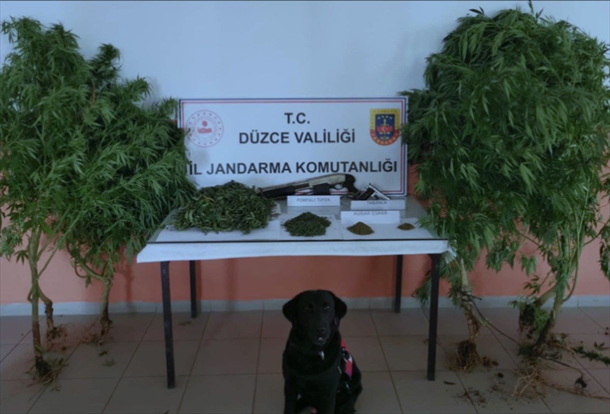 Düzce\'de Uyuşturucu Operasyonu: 1 Şüpheli Yakalandı