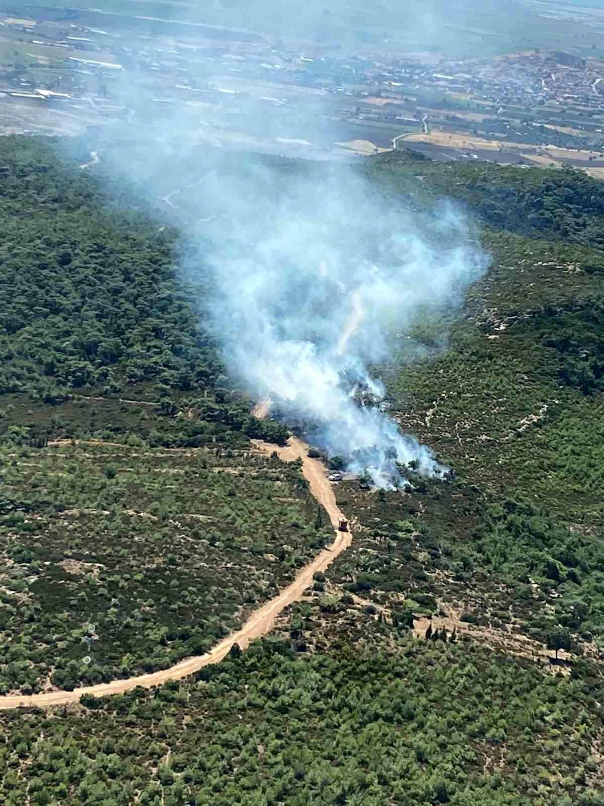 Foça\'da çıkan orman yangını kontrol altına alındı