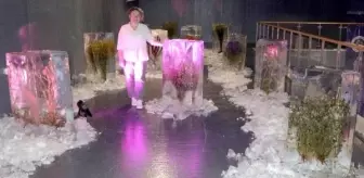 Heykeltıraş Yıldız Özer, iklim krizine dikkat çekmek için buz bloklarında bitki sergisi açtı