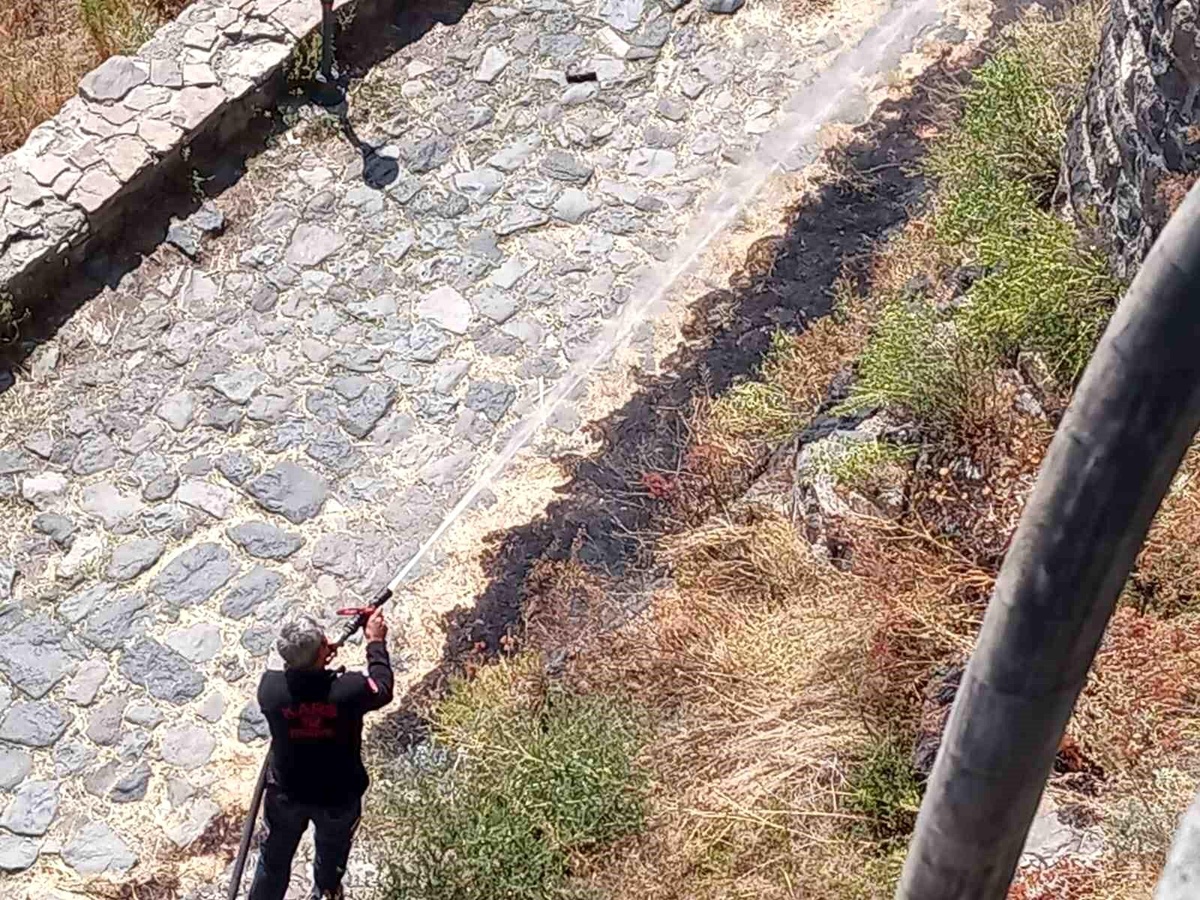 Kars\'ta çıkan anız yangınları söndürüldü