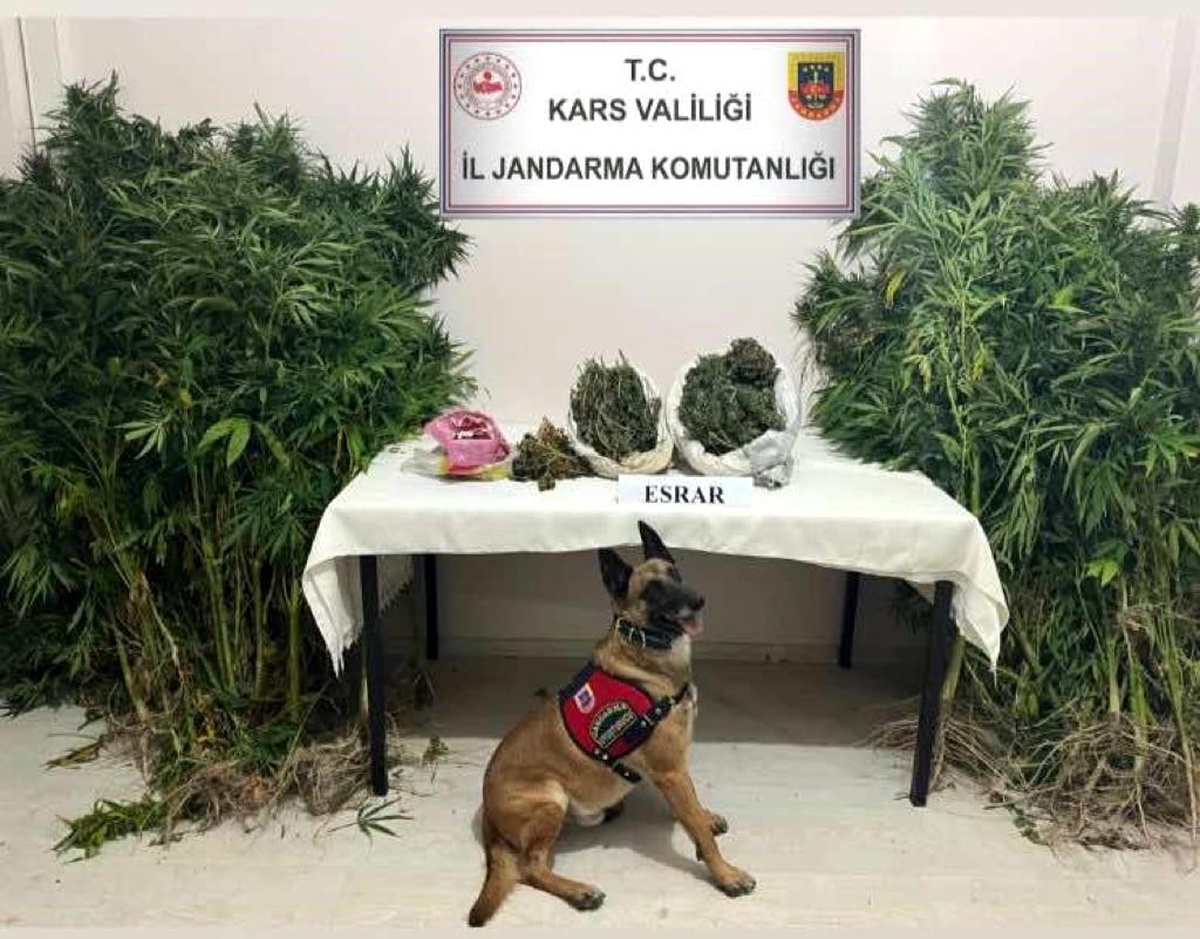 Kars\'ta Uyuşturucu Operasyonunda 2 Kilo 69 Gram Uyuşturucu Ele Geçirildi