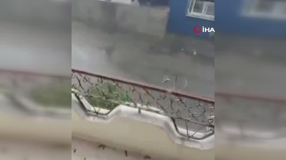 Mersin\'de yağmur ve fırtına etkili oldu: Okulun çatısı uçtu