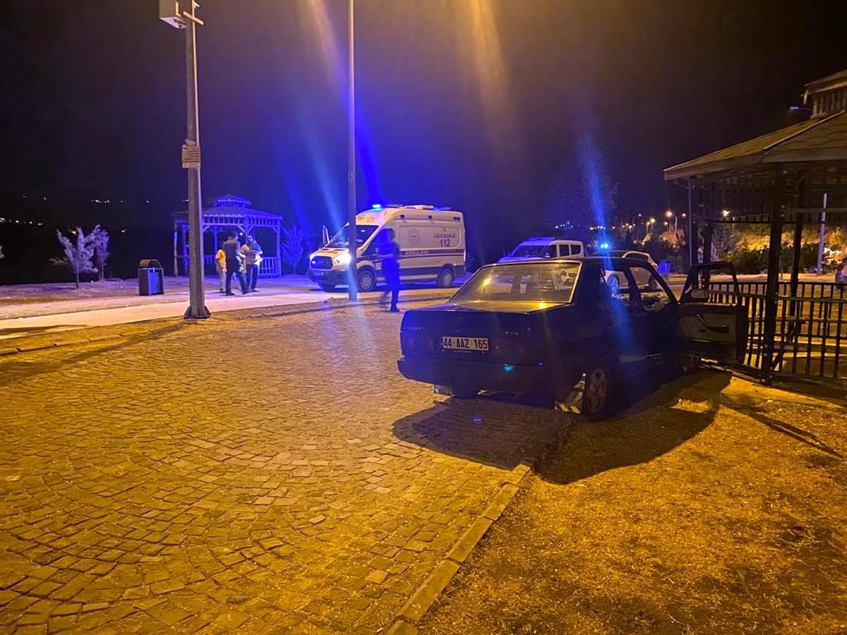 Adıyaman\'da Otomobil Kamelyaya Çarptı: 1 Yaralı