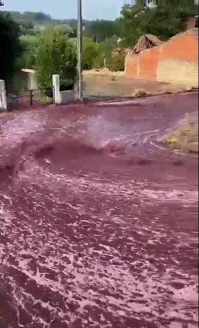 Porketiz'de şarap üretim tesisindeki iki tankın çökmesi sonucu 2.2 milyon litre şarap sokakları şarap nehrine çevirdi