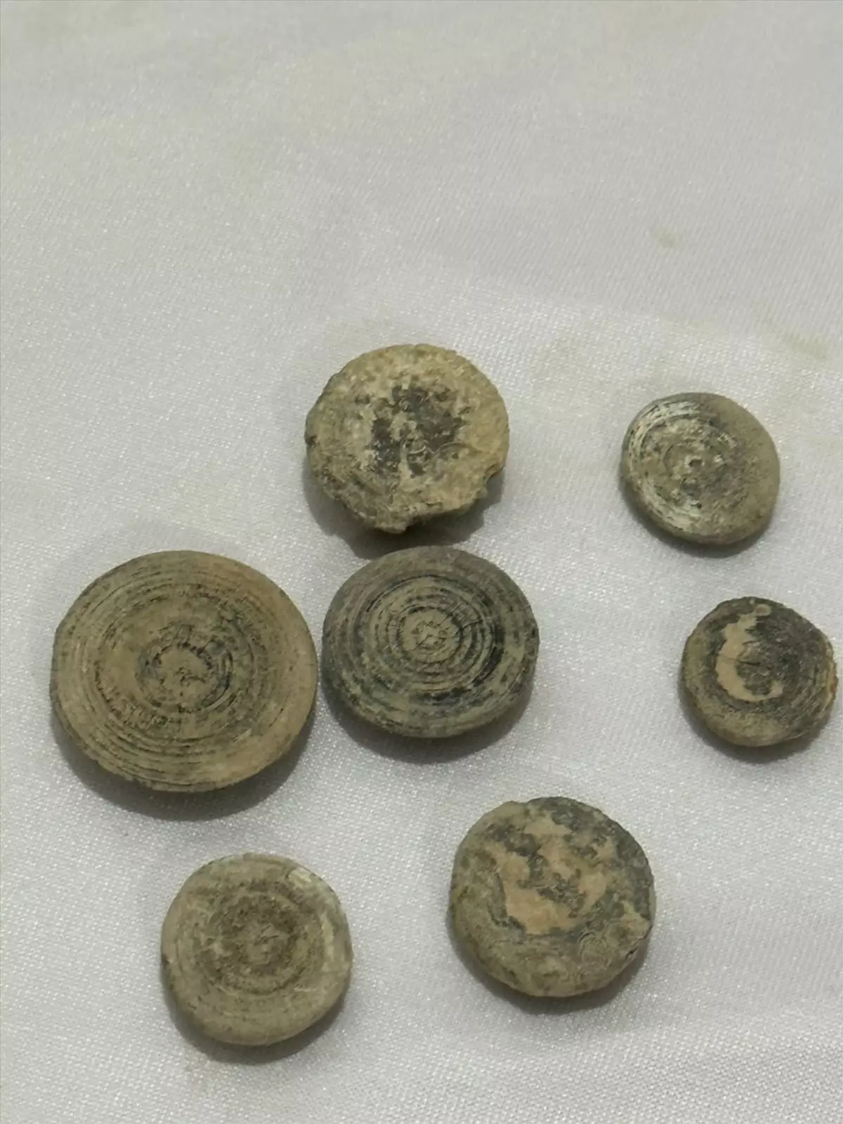 Şanlıurfa'da Roma Dönemine Ait 4 Bin 855 Tarihi Eser Ele Geçirildi