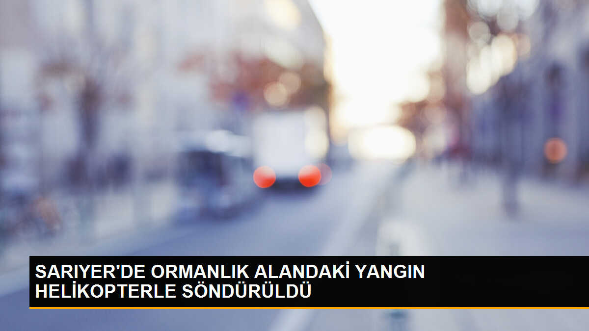 Sarıyer\'de Ormanlık Alanda Yangın Çıktı