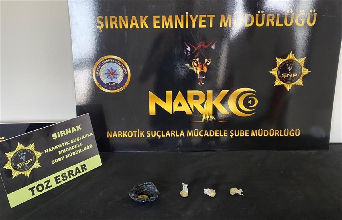 Şırnak\'ta düzenlenen operasyonda 55 şüpheli yakalandı