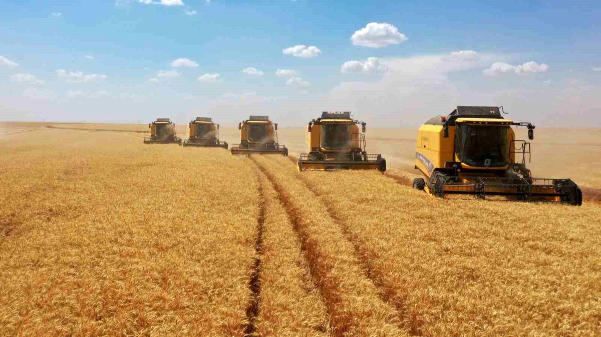 TİGEM, Tüm Zamanların Hububat Üretim Rekorunu Kırdı
