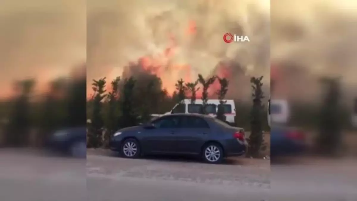 Yalova'da çalılık arazide çıkan yangın kontrol altına alındı