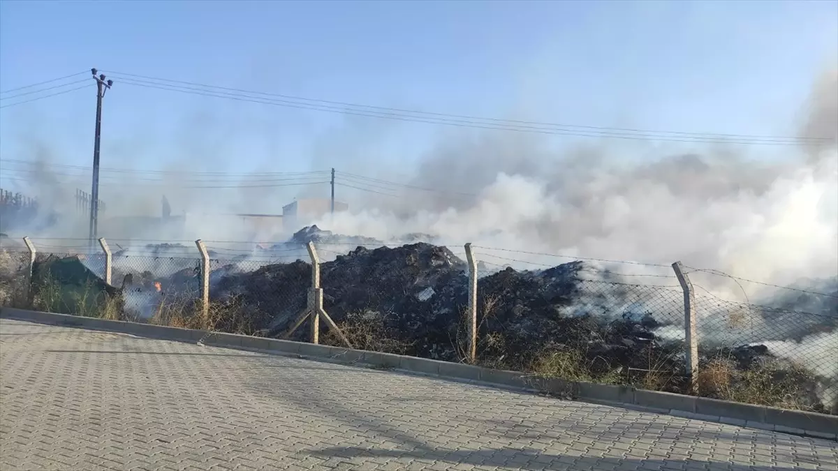 Yalova'da otluk alanda çıkan yangın söndürüldü