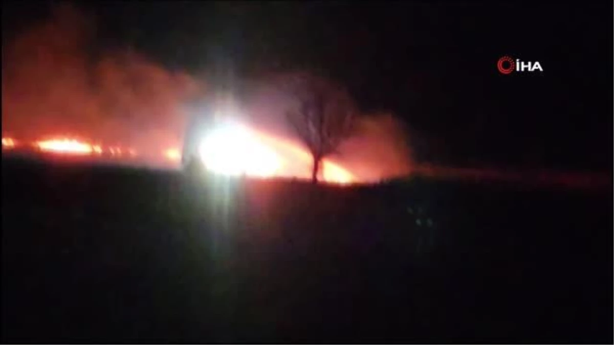 Adana\'da anız yangını: 200 dönüm alan zarar gördü
