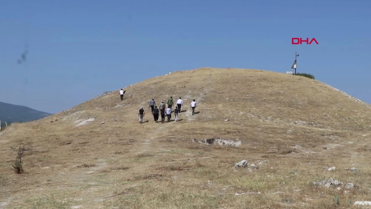 Çal\'da Geç Tunç Çağı\'na Ait Üzüm Çekirdeği Bulundu