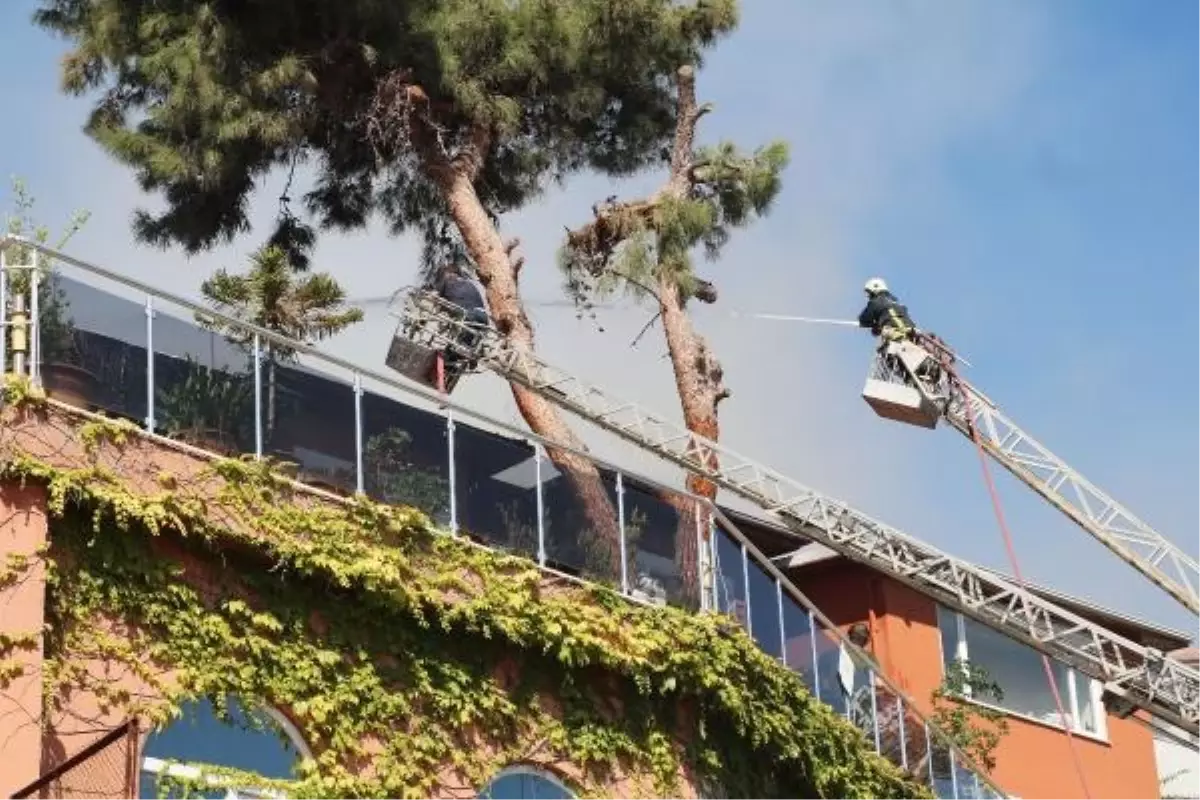 Alanya'da çıkan yangın 2 katlı villaya sıçradı