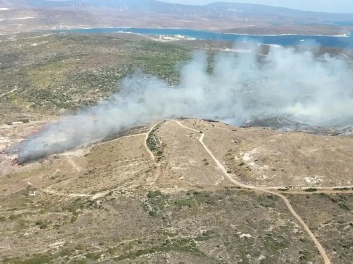 Çeşme\'deki Yangın Havadan ve Karadan Müdahaleyle Kontrol Altına Alındı