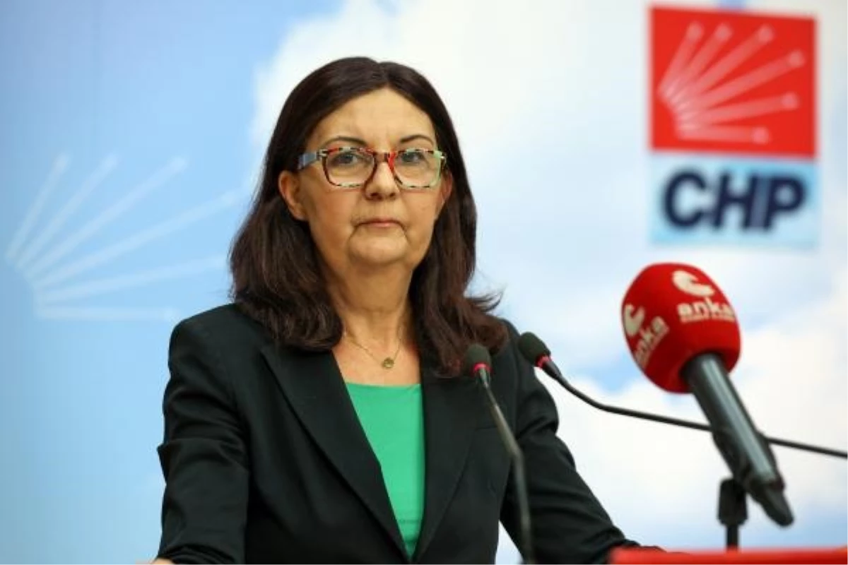 CHP Genel Başkan Yardımcısı Lale Karabıyık: Eğitimdeki Sorunlar Görmezden Geliniyor