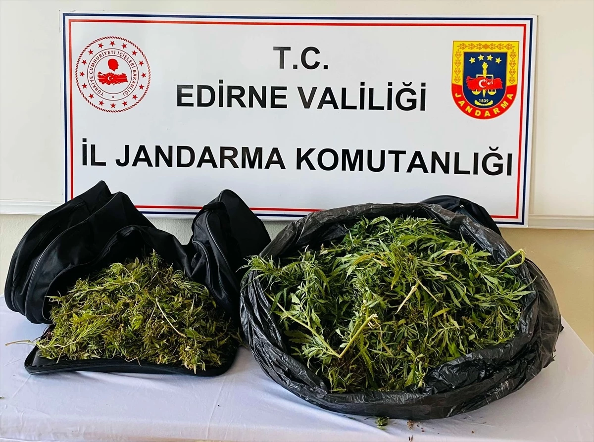Edirne\'de Jandarma Operasyonunda 6 Kilo Esrar Ele Geçirildi