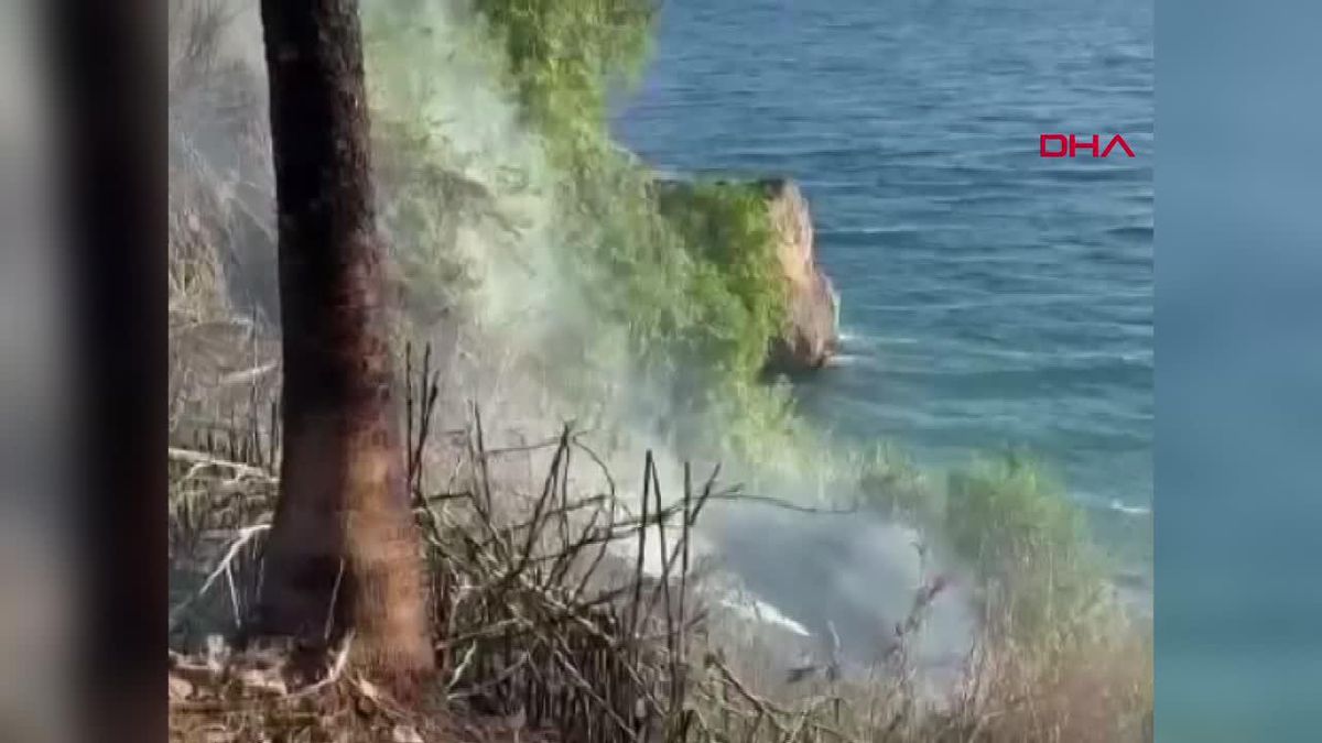 Antalya\'da Yalım Park\'ta çıkan yangın kontrol altına alındı