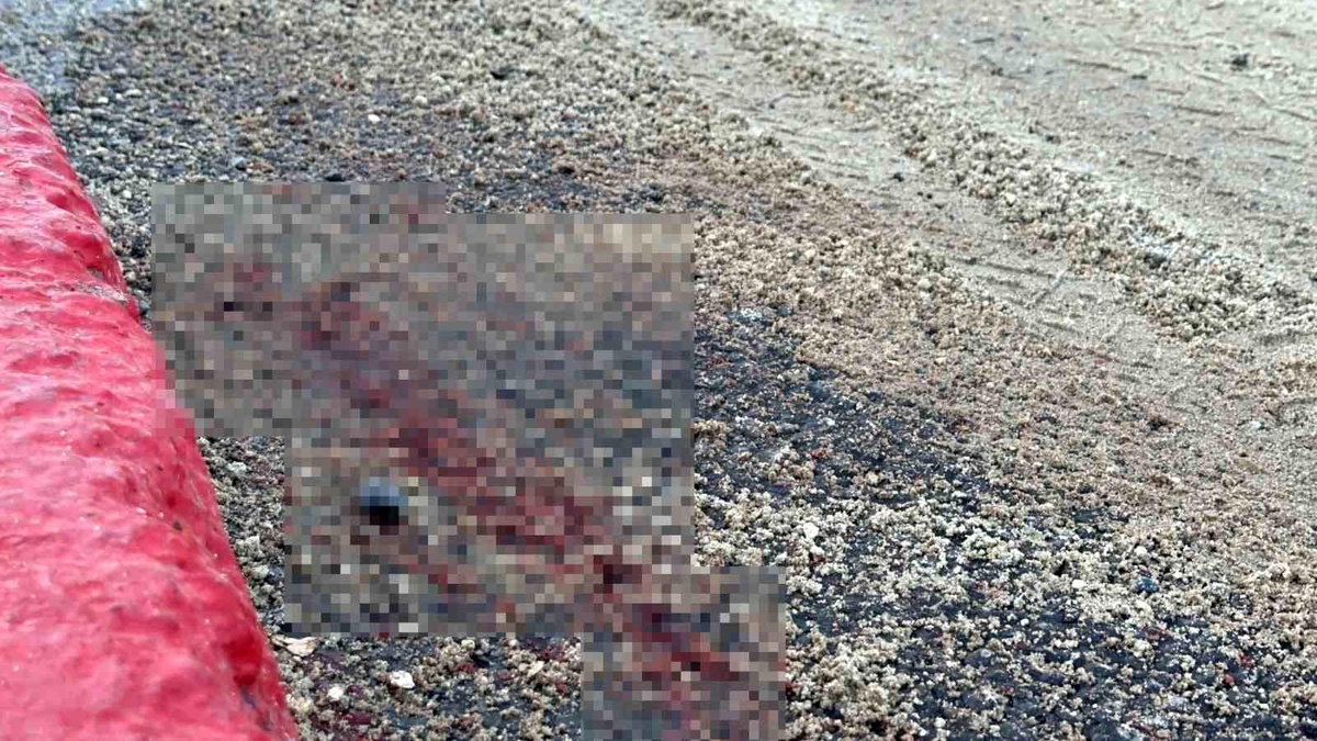 Fatih\'te İETT otobüsü ile motosiklet çarpıştı: Hamile kadın ağır yaralandı