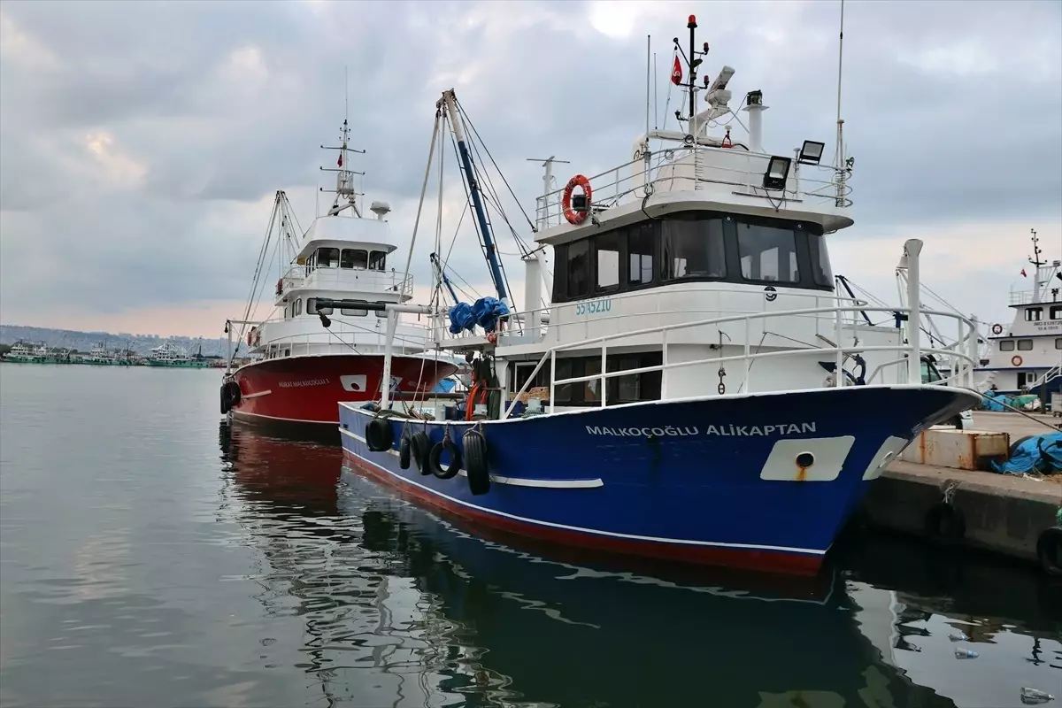 Karadenizli Balıkçılar Mezgit ve Barbunya ile Bereketli Bir Sezon Başladı