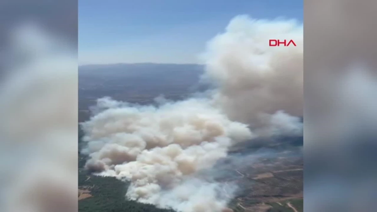 Soma\'da Orman Yangını: Ekipler Havadan ve Karadan Müdahale Ediyor