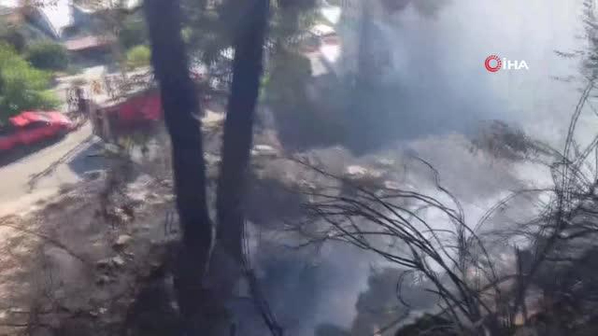 Otluk alanda çıkan yangın, çam ağacının kozalağından lüks villalara sıçradı