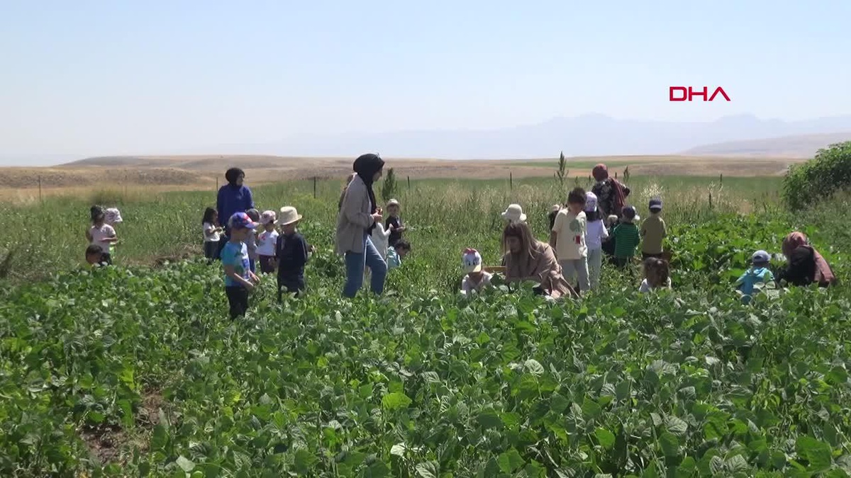 Erzurum\'da Kreş Öğrencileri Organik Pazar Kurarak Depremzedelere Yardım Etti