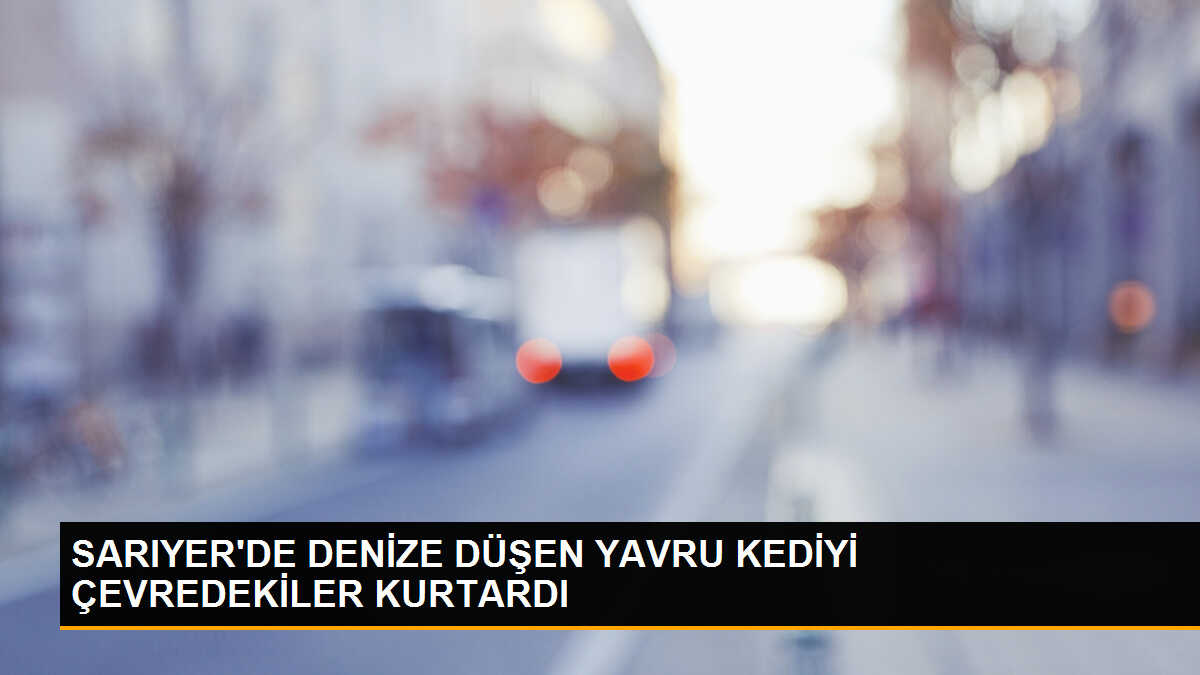 Sarıyer\'de Denize Düşen Yavru Kedi Kurtarıldı