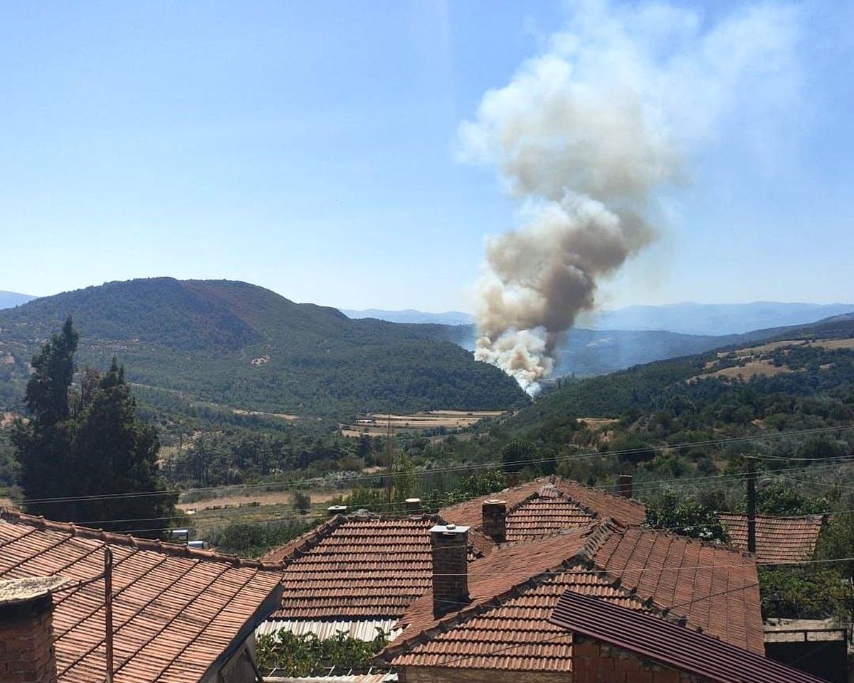 Manisa Soma\'da Orman Yangınına Müdahale Devam Ediyor
