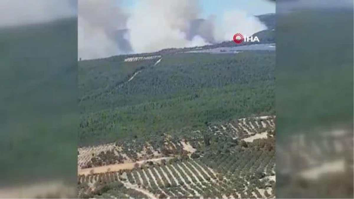 Soma\'da orman yangını devam ediyor