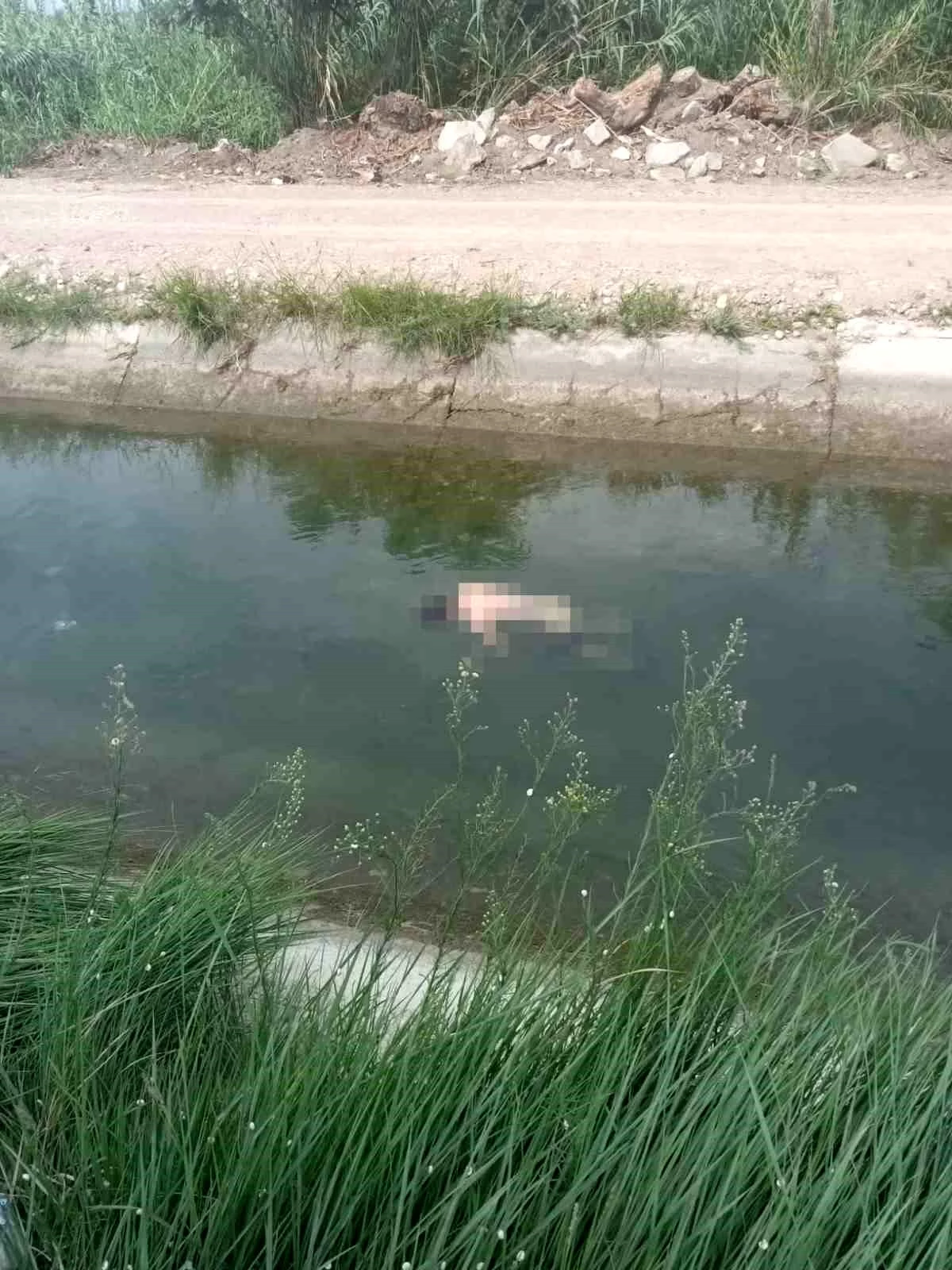 Adana\'da sulama kanalında kaybolan gencin cesedi bulundu