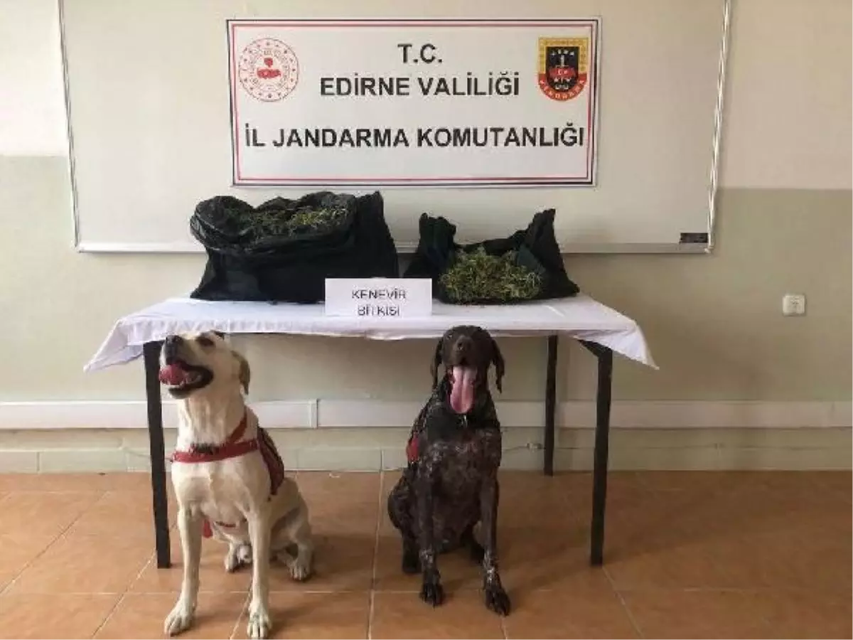 Edirne\'de Jandarma Operasyonunda 6 Kilo Esrar Ele Geçirildi