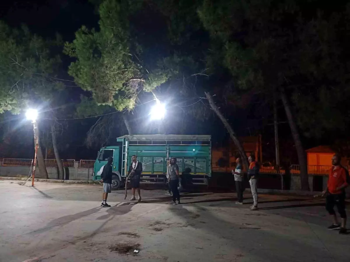 Denizli\'de Voleybol Oynayan Genç Ağaca Mahsur Kaldı