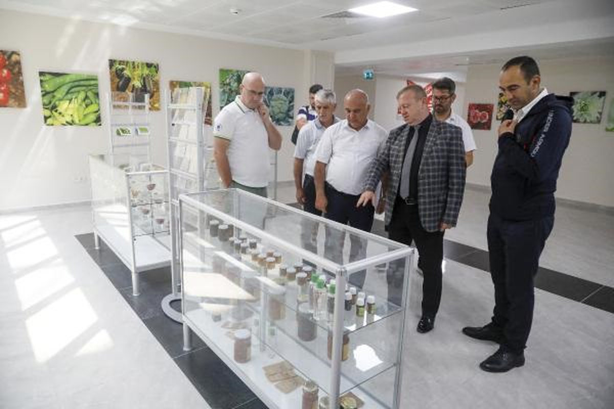 Azerbaycan, Türkiye\'yi Sebze-Meyve Yetiştiriciliğinde Rol Model Alıyor