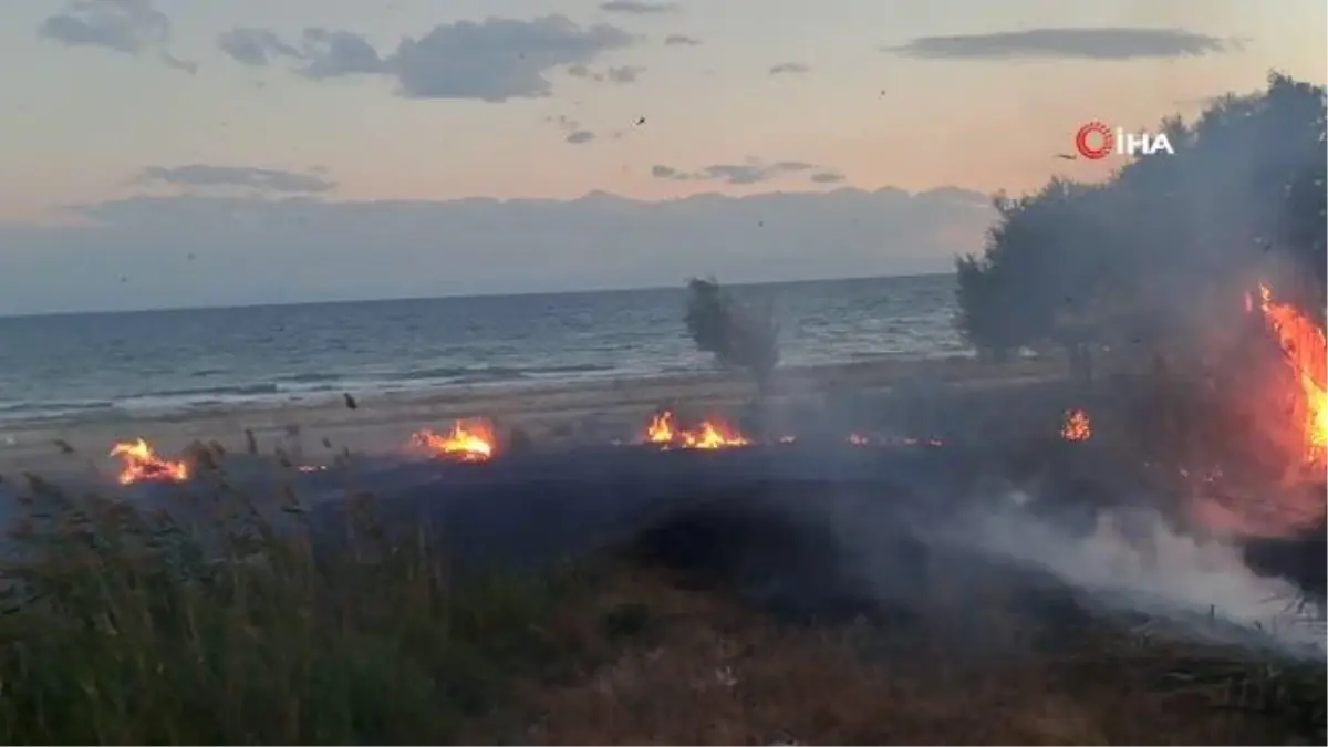 Van Gölü sahilinde sazlık alanda yangın