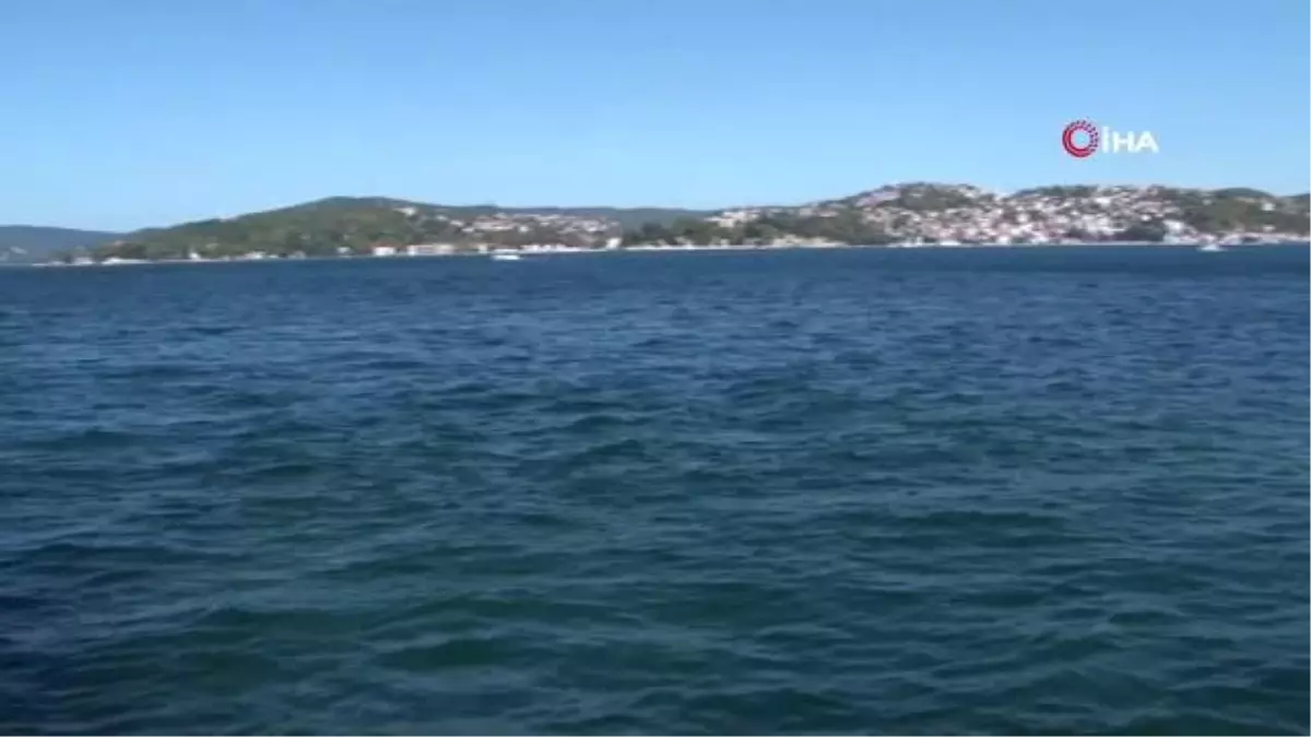 Balık avlamak için zıpkınla denize daldı, bir daha su yüzüne çıkamadı