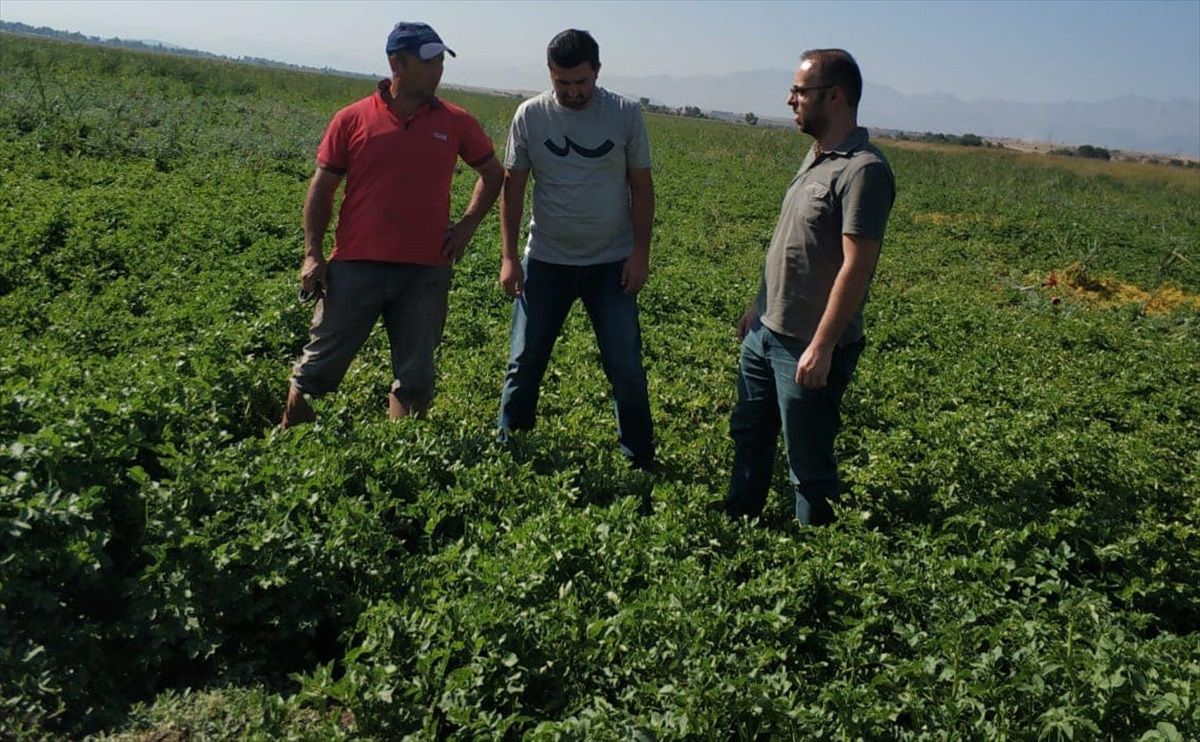 Beyşehir\'de çiftçilere zararlılar konusunda bilgilendirme yapıldı