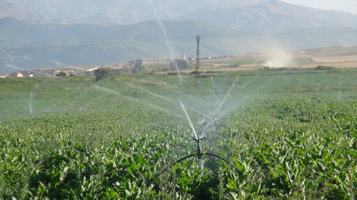 Tatvan\'da çiftçiler yeni sulama sistemleriyle tasarruf sağlıyor