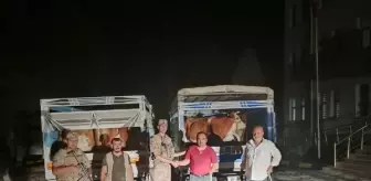 Siirt'te Çalınan 7 Büyükbaş Hayvanı Satmaya Çalışan Şüpheli Tutuklandı