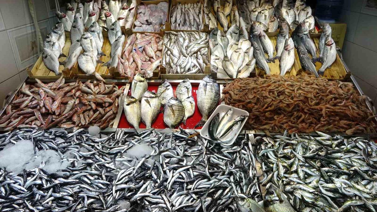 Çanakkale\'de Balık Bolluğu: Fiyatlar Düşüyor