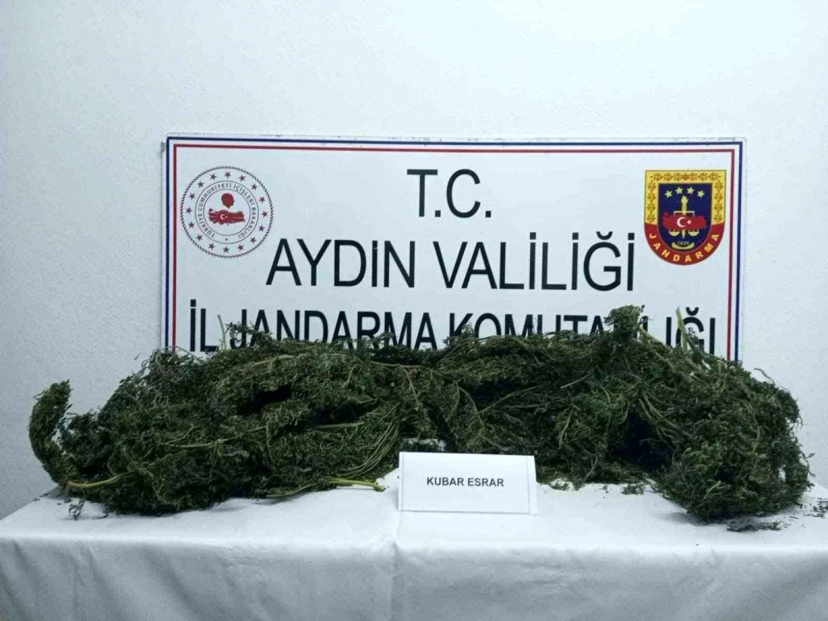 Aydın\'da 10 Kilo Kubar Esrarla Yakalanan Şüpheli Tutuklandı